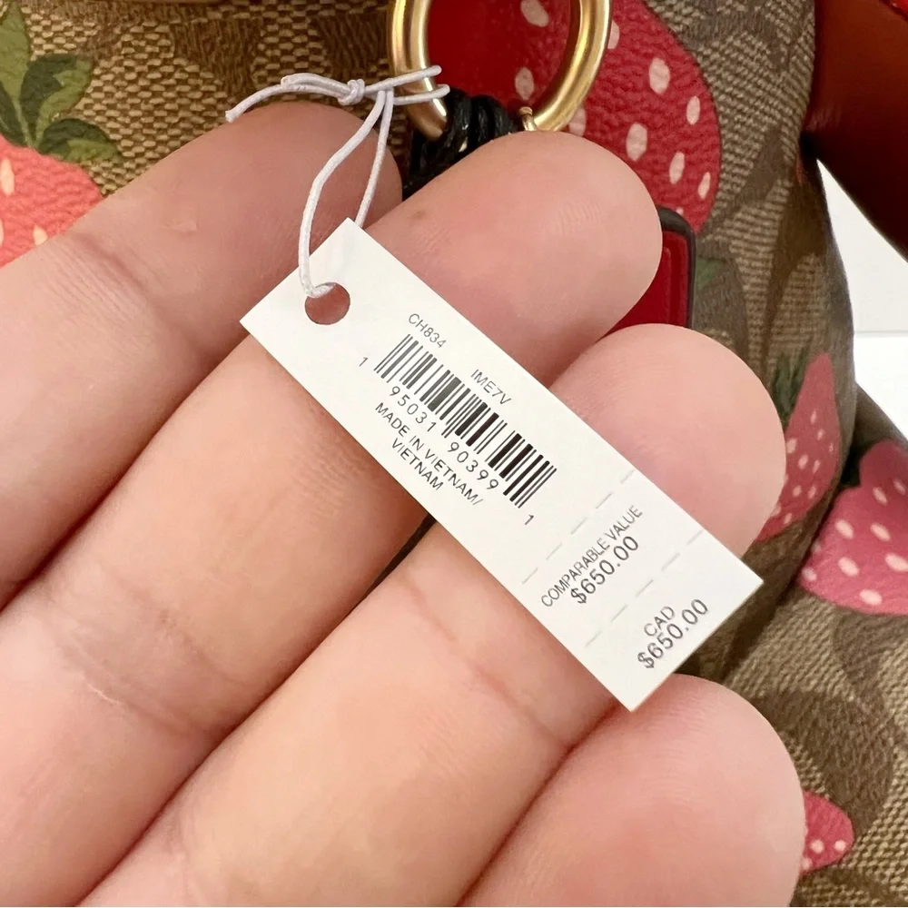 Coach Collectible Teddy Bear Logo Signature Canvas Wild Strawberry Print 16” NEW - Picture 11 of 13